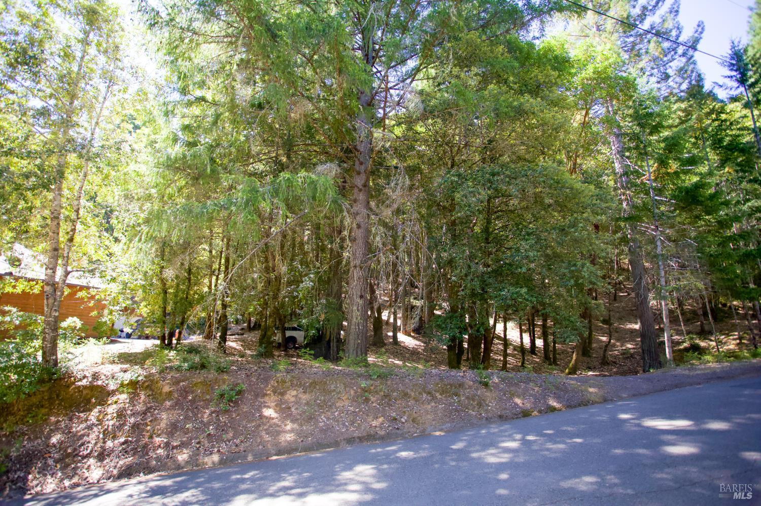 2371 Perch Drive Willits CA 95490