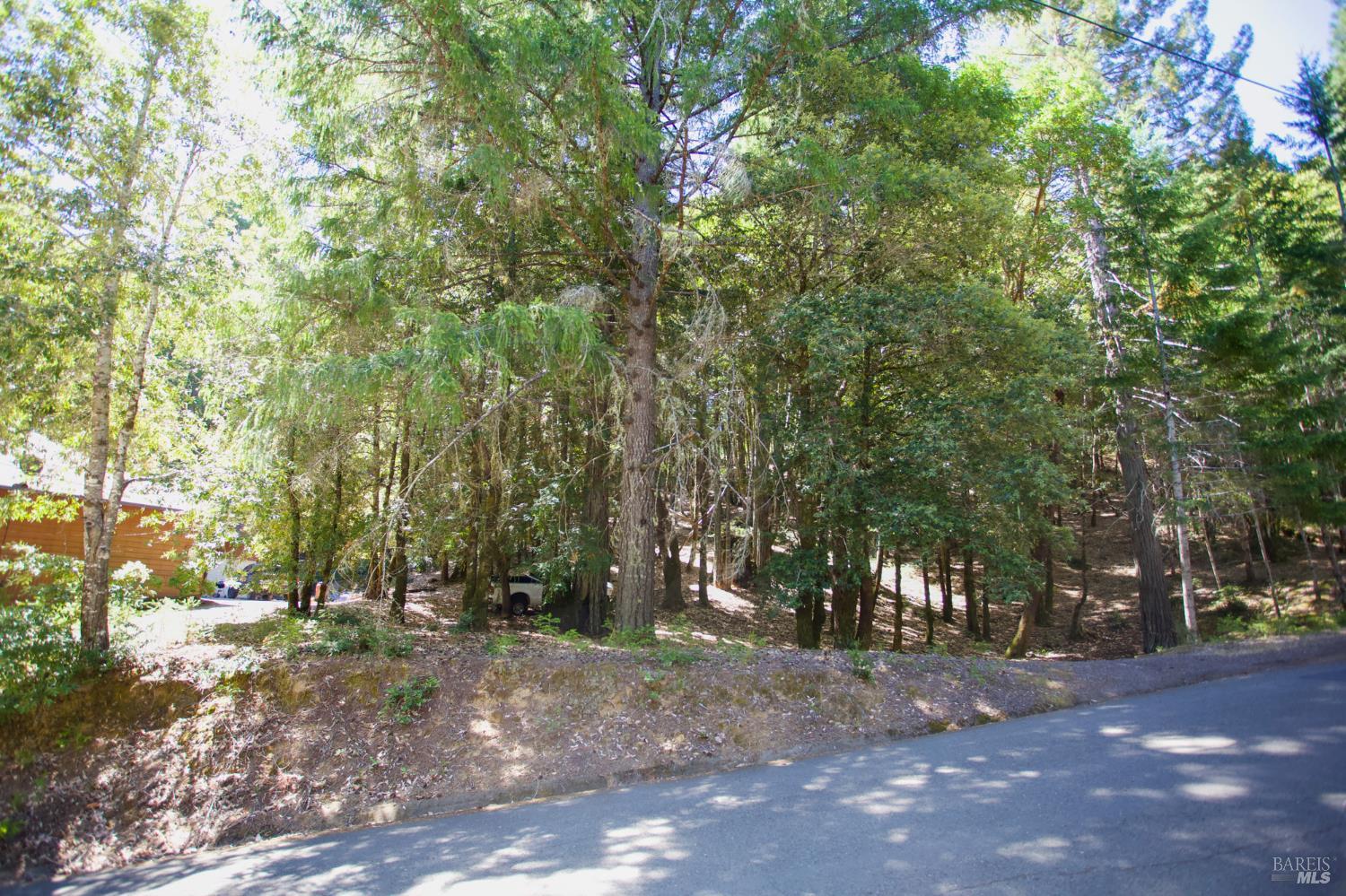 2371 Perch Drive Willits CA 95490