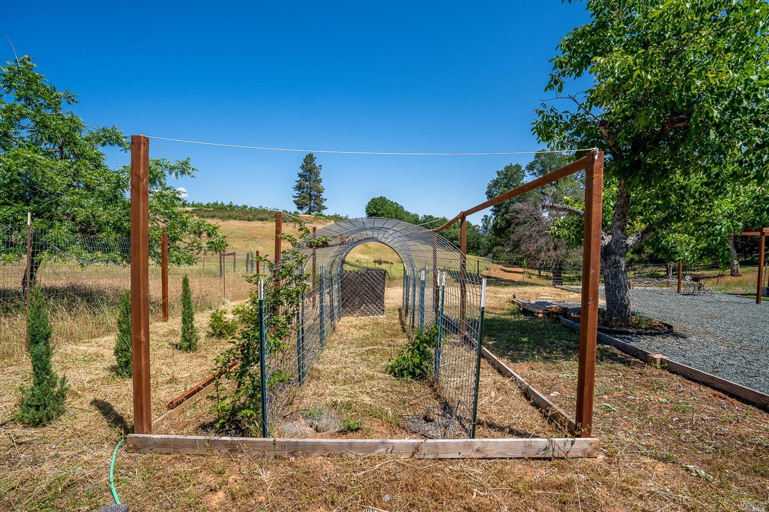 2192 Riggs Road Lakeport CA 95453
