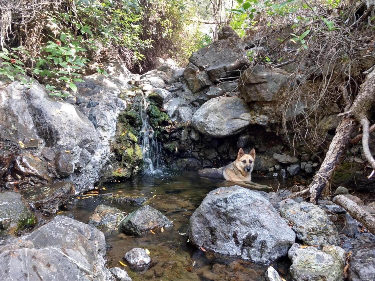 0 Pope Canyon Road Pope Valley CA 94567
