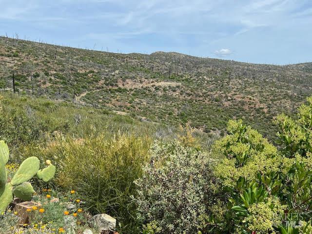 0 Pope Canyon Road Pope Valley CA 94567