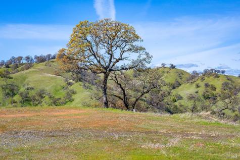 11250 Skaggs Springs Road Healdsburg CA 95448