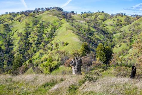 11250 Skaggs Springs Road Healdsburg CA 95448
