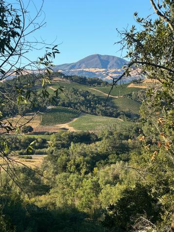 1731 Scenic Lane Healdsburg CA 95448