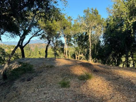 1731 Scenic Lane Healdsburg CA 95448