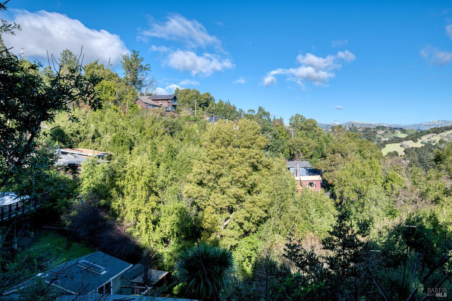 223 Tamalpais Road Fairfax CA 94930