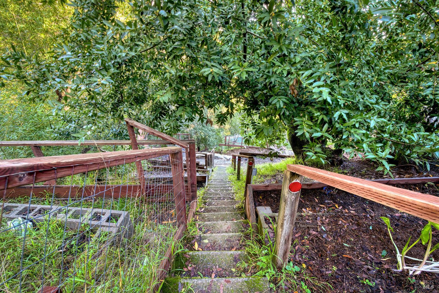 223 Tamalpais Road Fairfax CA 94930