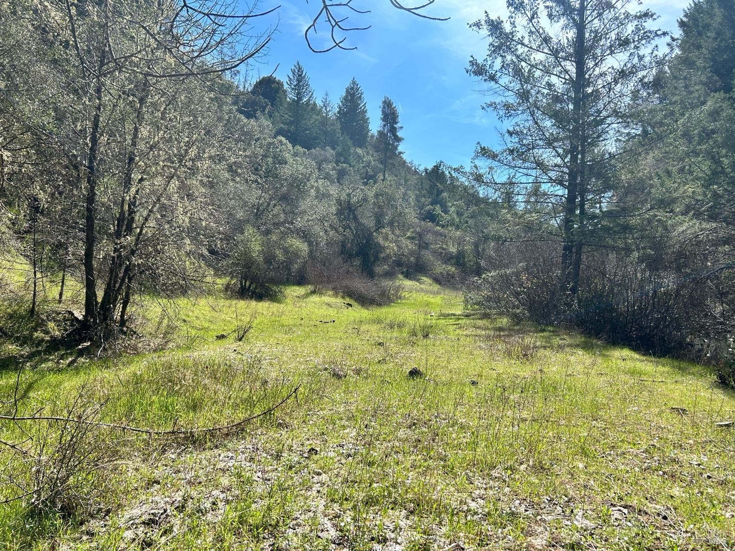 21165 Tomki Road Redwood Valley CA 95470