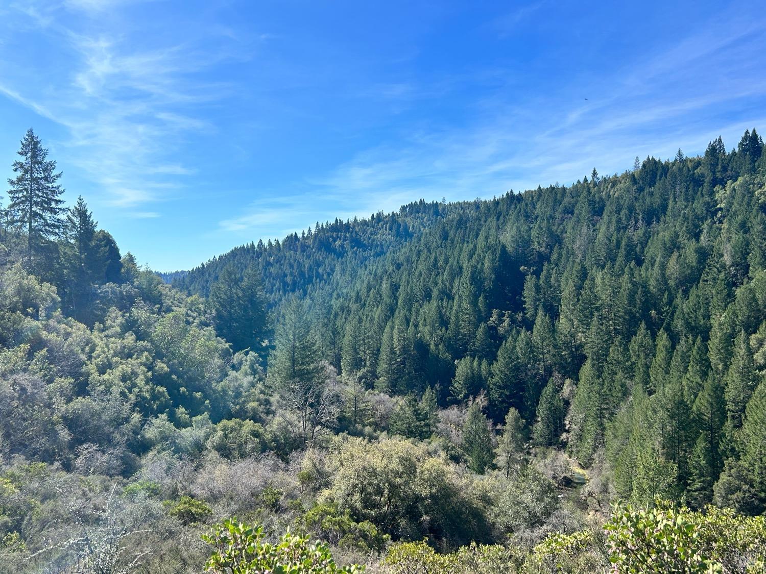 21165 Tomki Road Redwood Valley CA 95470