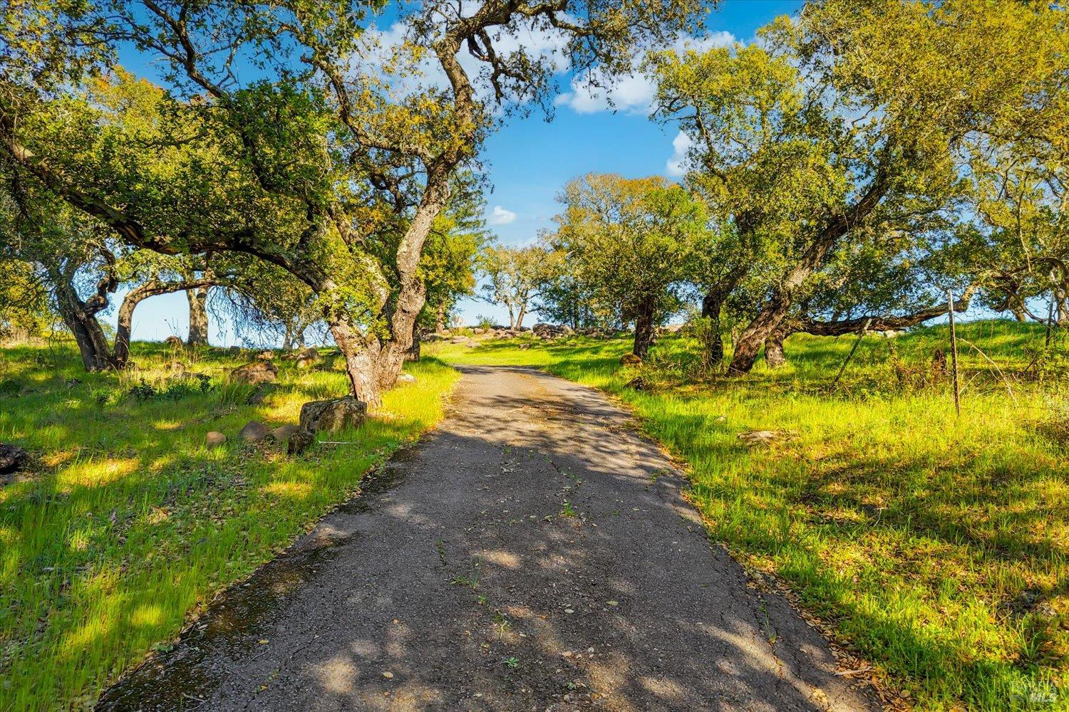 2355 Atlas Peak Road Napa CA 94558