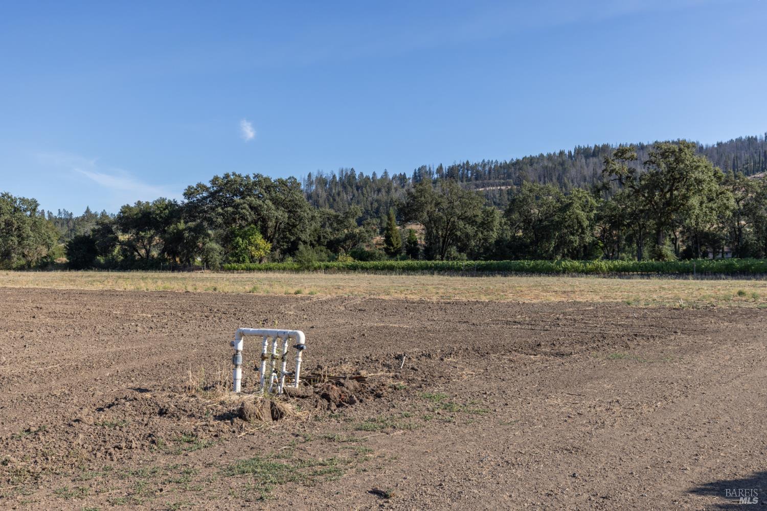 4427 Silverado Trail Calistoga CA 94515