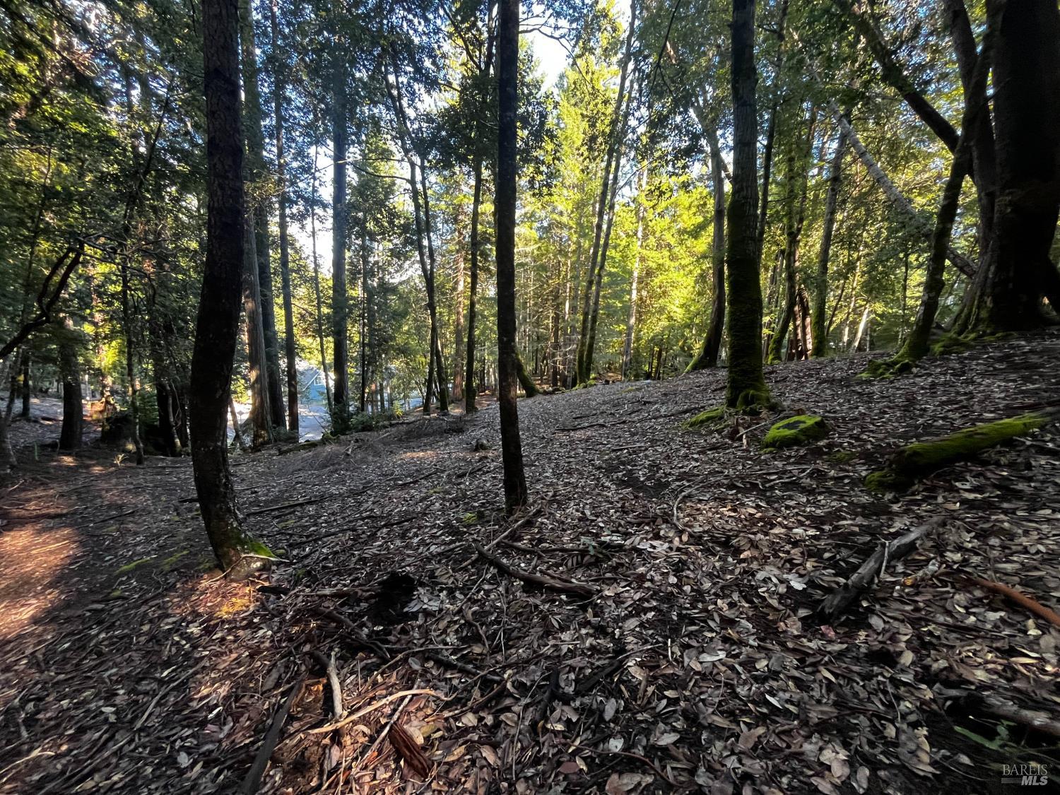 2234 Otter Place Willits CA 95490