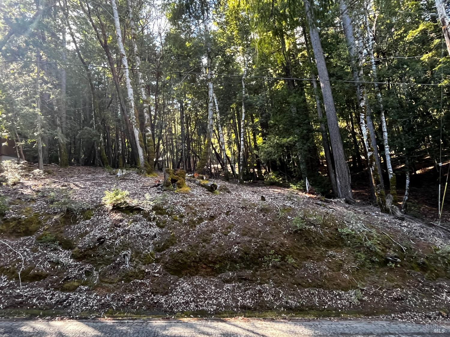 2234 Otter Place Willits CA 95490