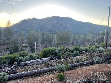 16710 Starview Loop Cobb CA 95426
