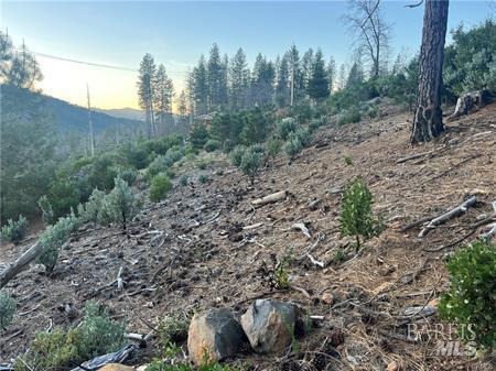 16710 Starview Loop Cobb CA 95426