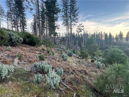16710 Starview Loop Cobb CA 95426