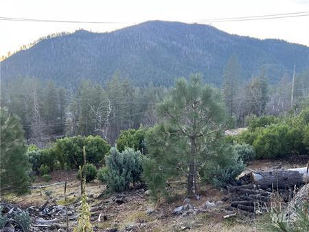16710 Starview Loop Cobb CA 95426