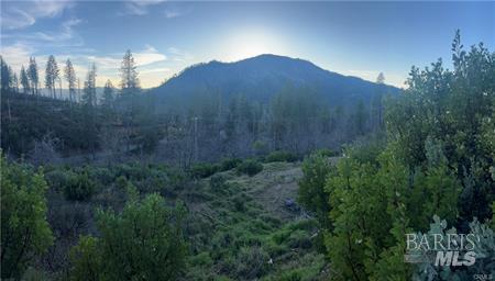 16710 Starview Loop Cobb CA 95426