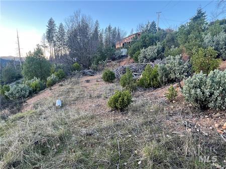 16710 Starview Loop Cobb CA 95426