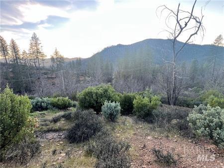 16710 Starview Loop Cobb CA 95426