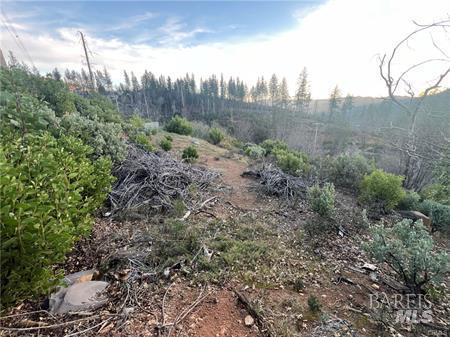 16710 Starview Loop Cobb CA 95426