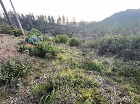 16710 Starview Loop Cobb CA 95426