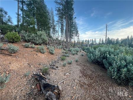 16710 Starview Loop Cobb CA 95426