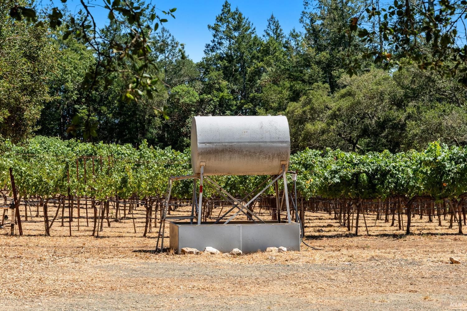 1075 Greenfield Road St. Helena CA 94574
