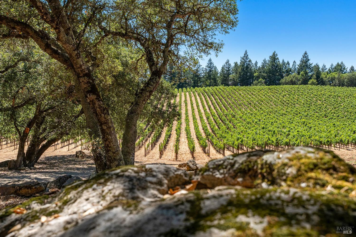 1075 Greenfield Road St. Helena CA 94574