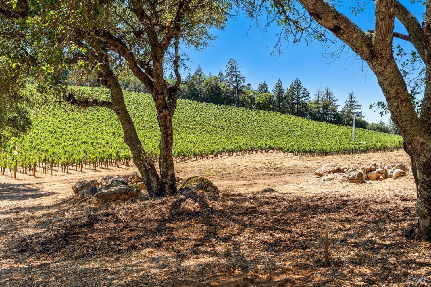 1075 Greenfield Road St. Helena CA 94574