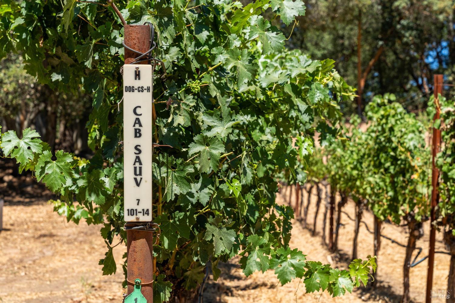 1075 Greenfield Road St. Helena CA 94574