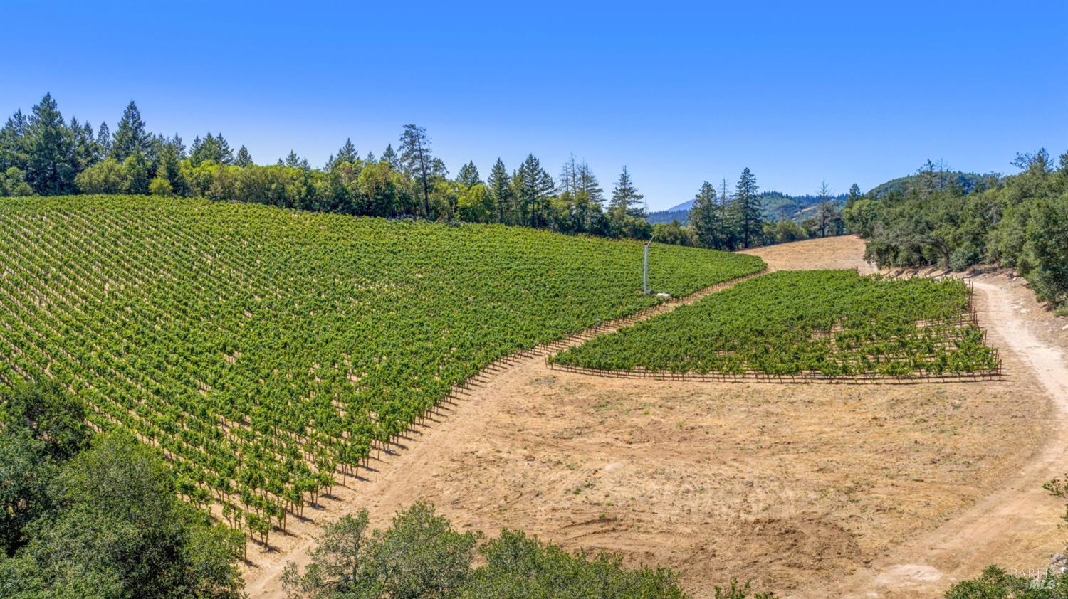 1075 Greenfield Road St. Helena CA 94574