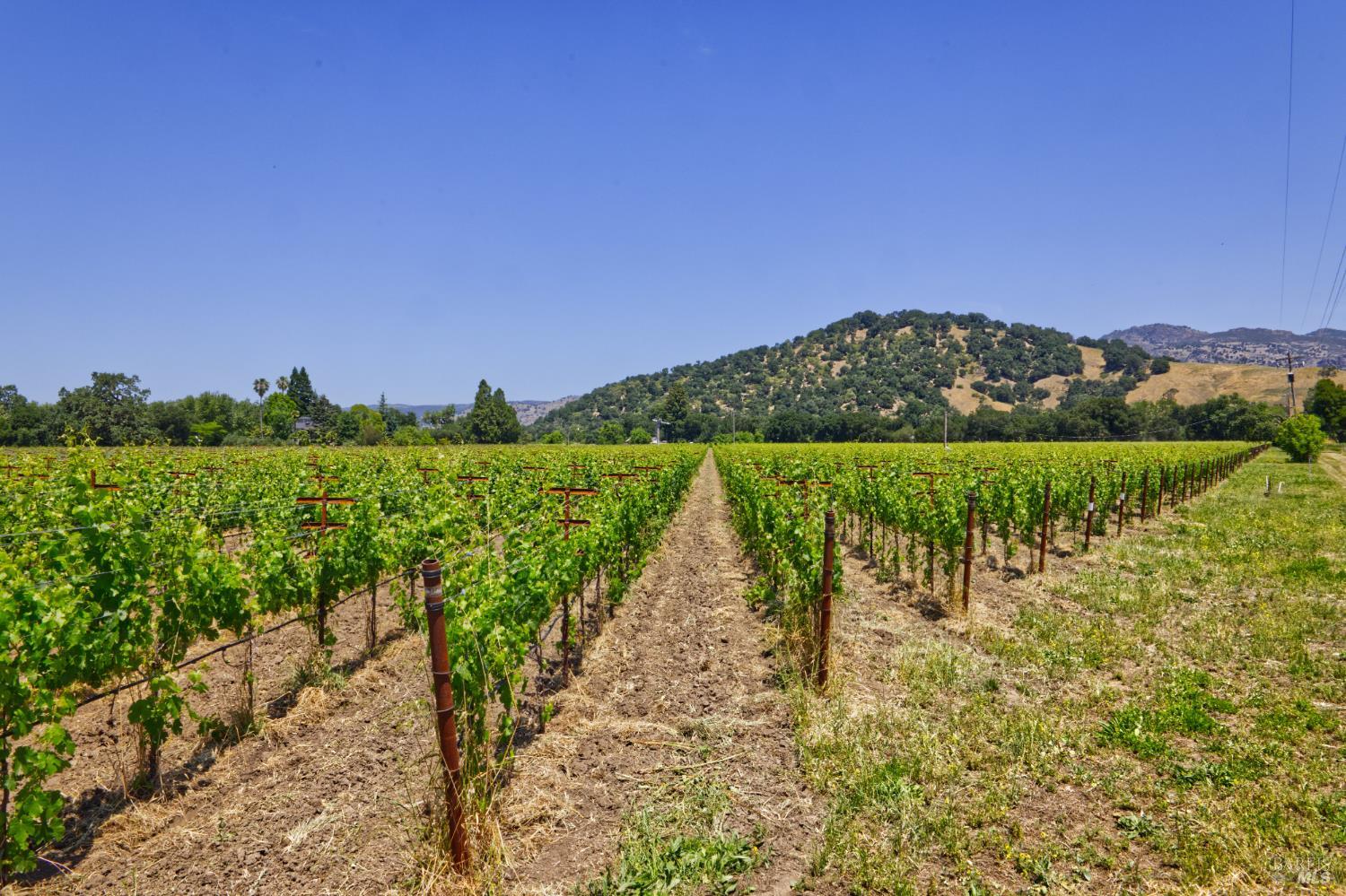 6160 Saint Helena Highway Napa CA 94558