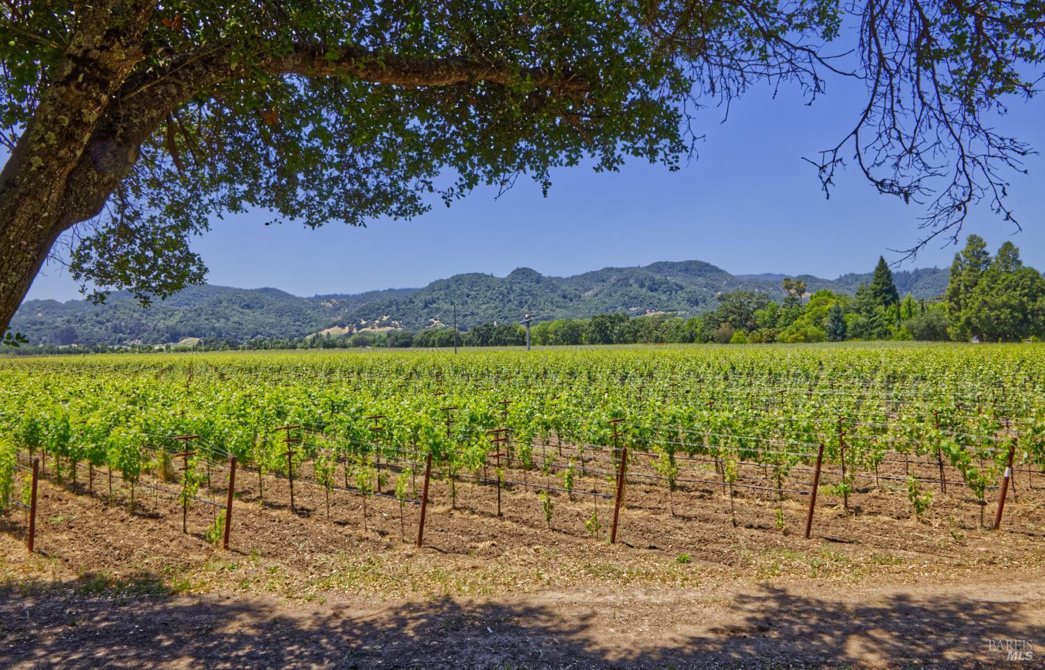 6160 Saint Helena Highway Napa CA 94558