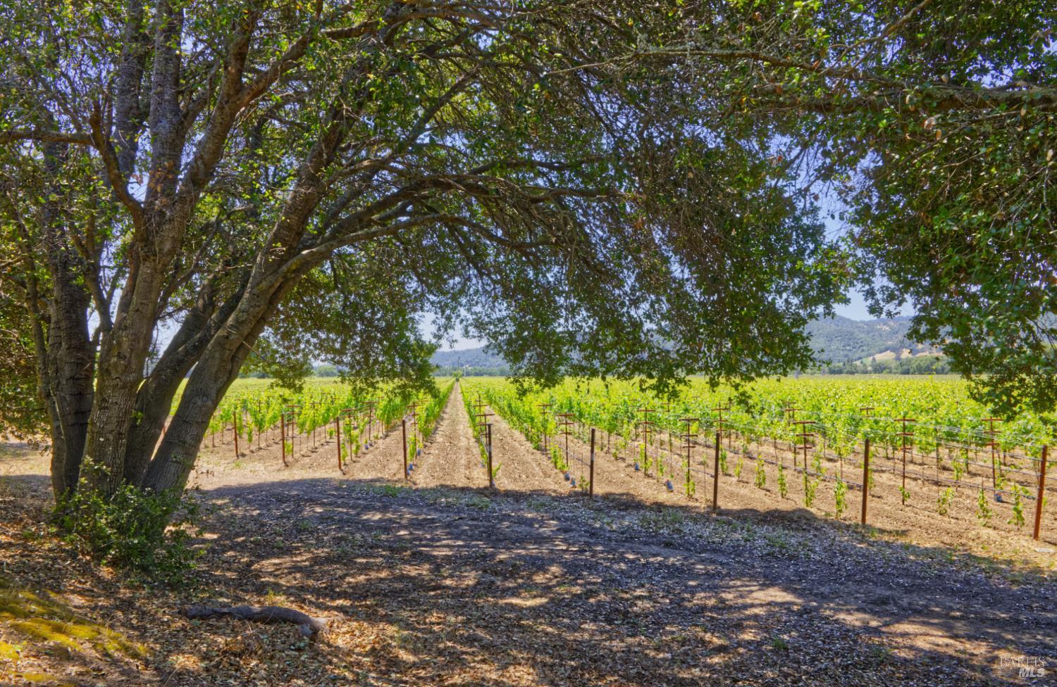 6160 Saint Helena Highway Napa CA 94558