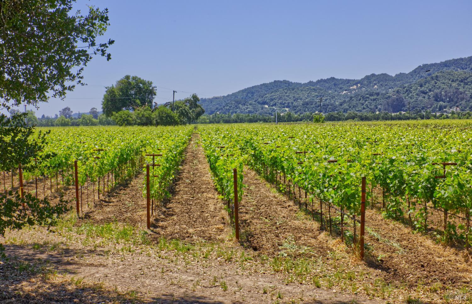 6160 Saint Helena Highway Napa CA 94558