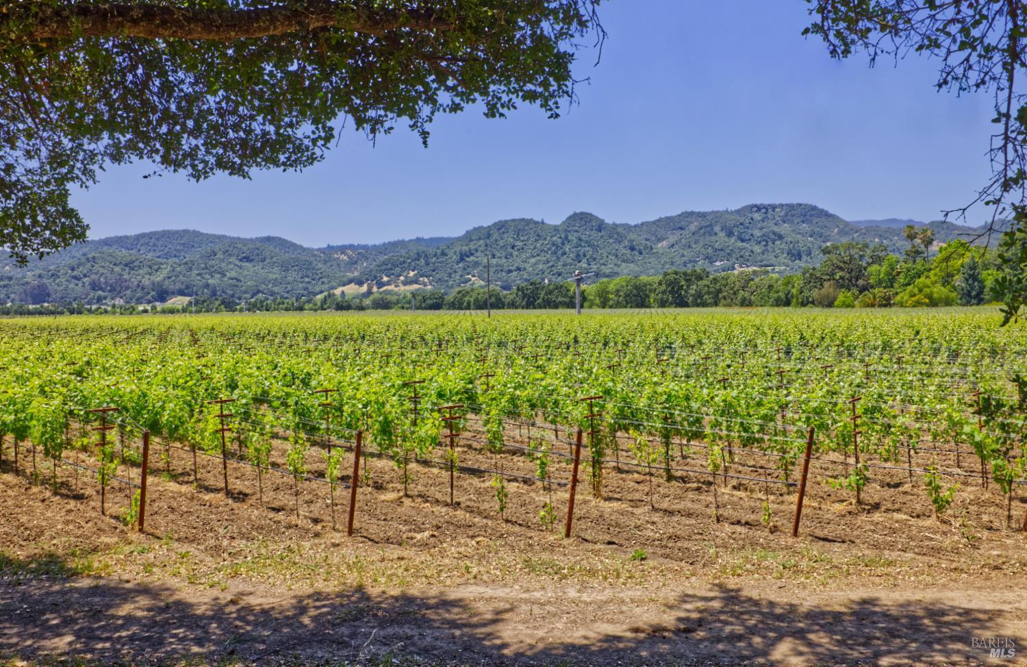 6160 Saint Helena Highway Napa CA 94558