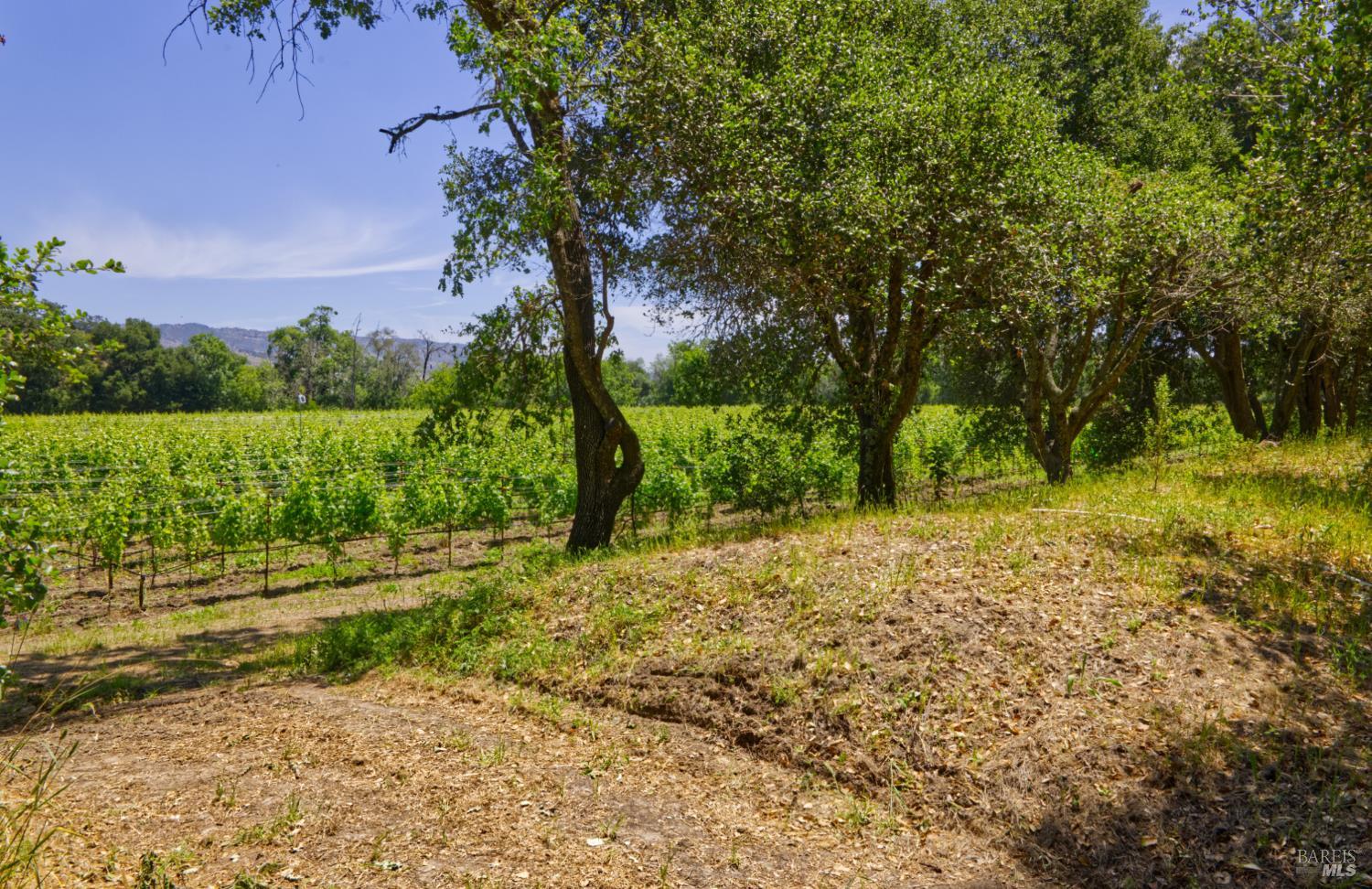6160 Saint Helena Highway Napa CA 94558