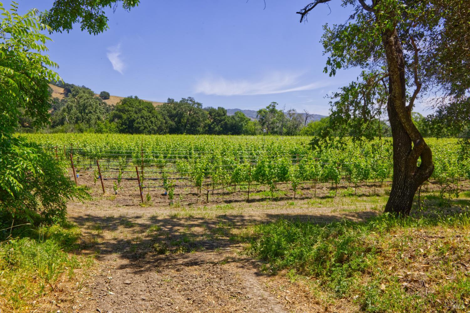 6160 Saint Helena Highway Napa CA 94558