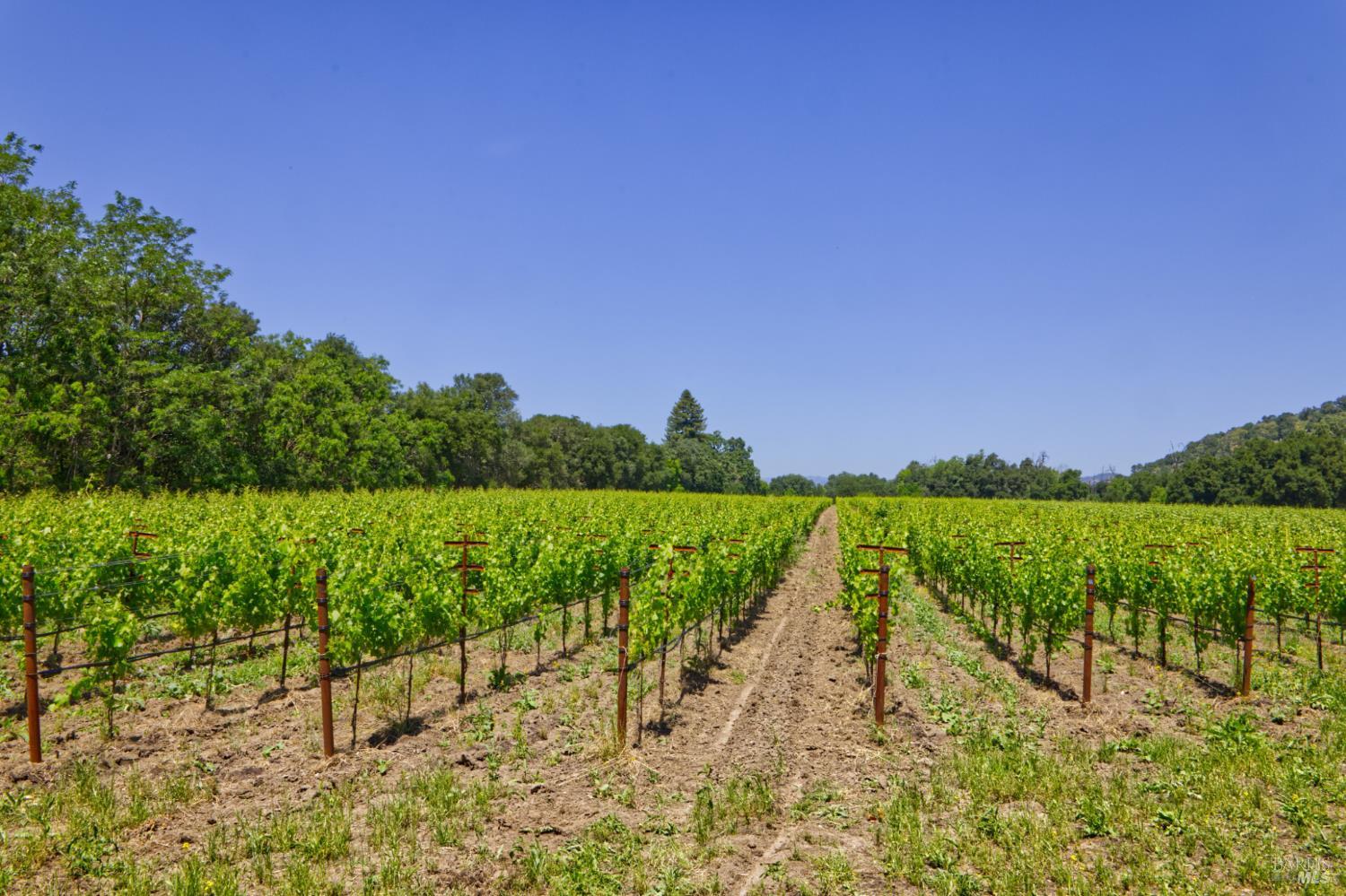6160 Saint Helena Highway Napa CA 94558