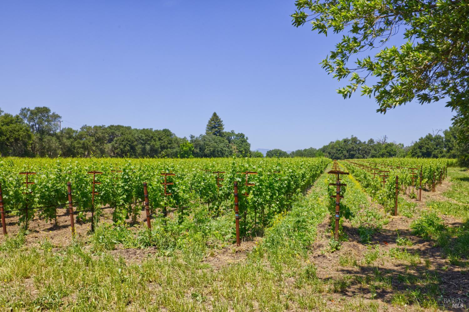 6160 Saint Helena Highway Napa CA 94558