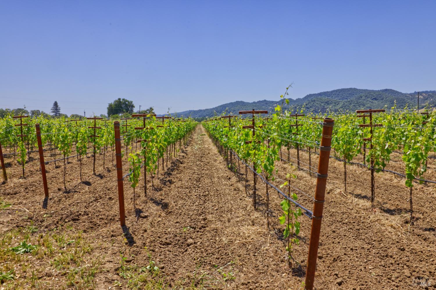 6160 Saint Helena Highway Napa CA 94558