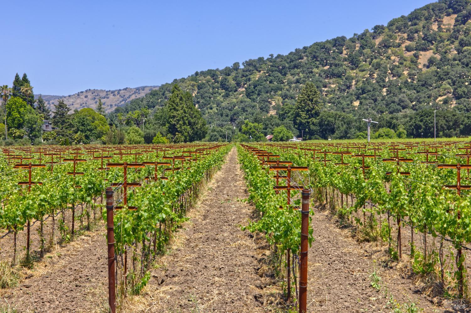 6160 Saint Helena Highway Napa CA 94558