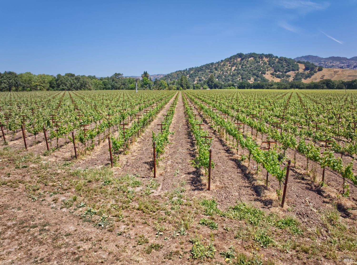 6160 Saint Helena Highway Napa CA 94558