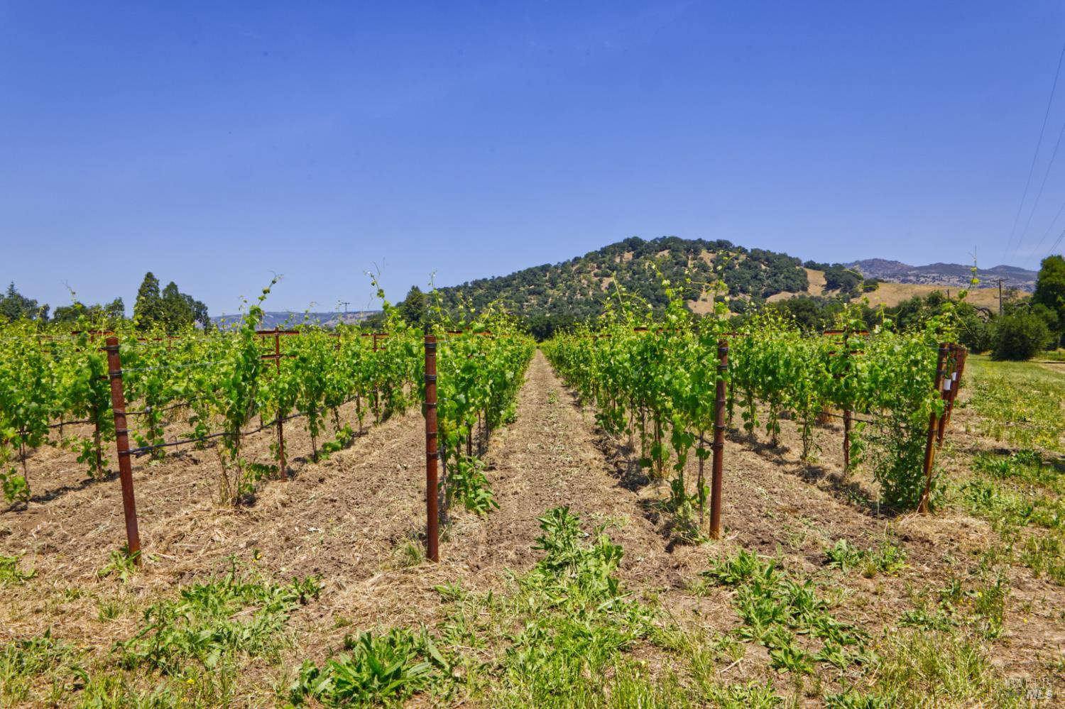 6160 Saint Helena Highway Napa CA 94558
