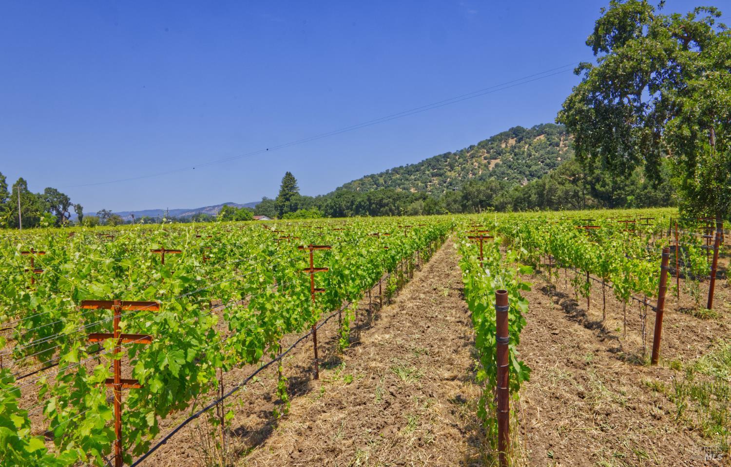 6160 Saint Helena Highway Napa CA 94558
