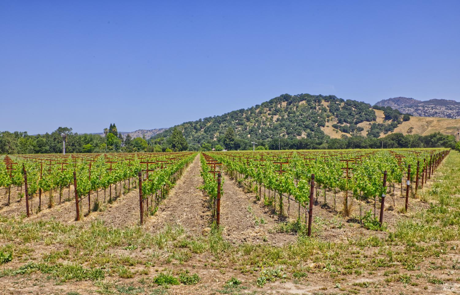 6160 Saint Helena Highway Napa CA 94558