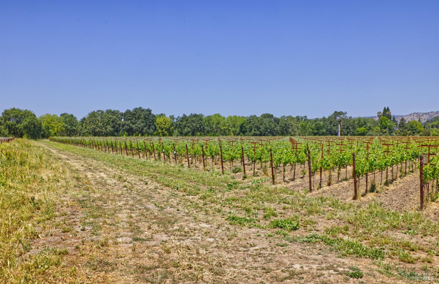 6160 Saint Helena Highway Napa CA 94558