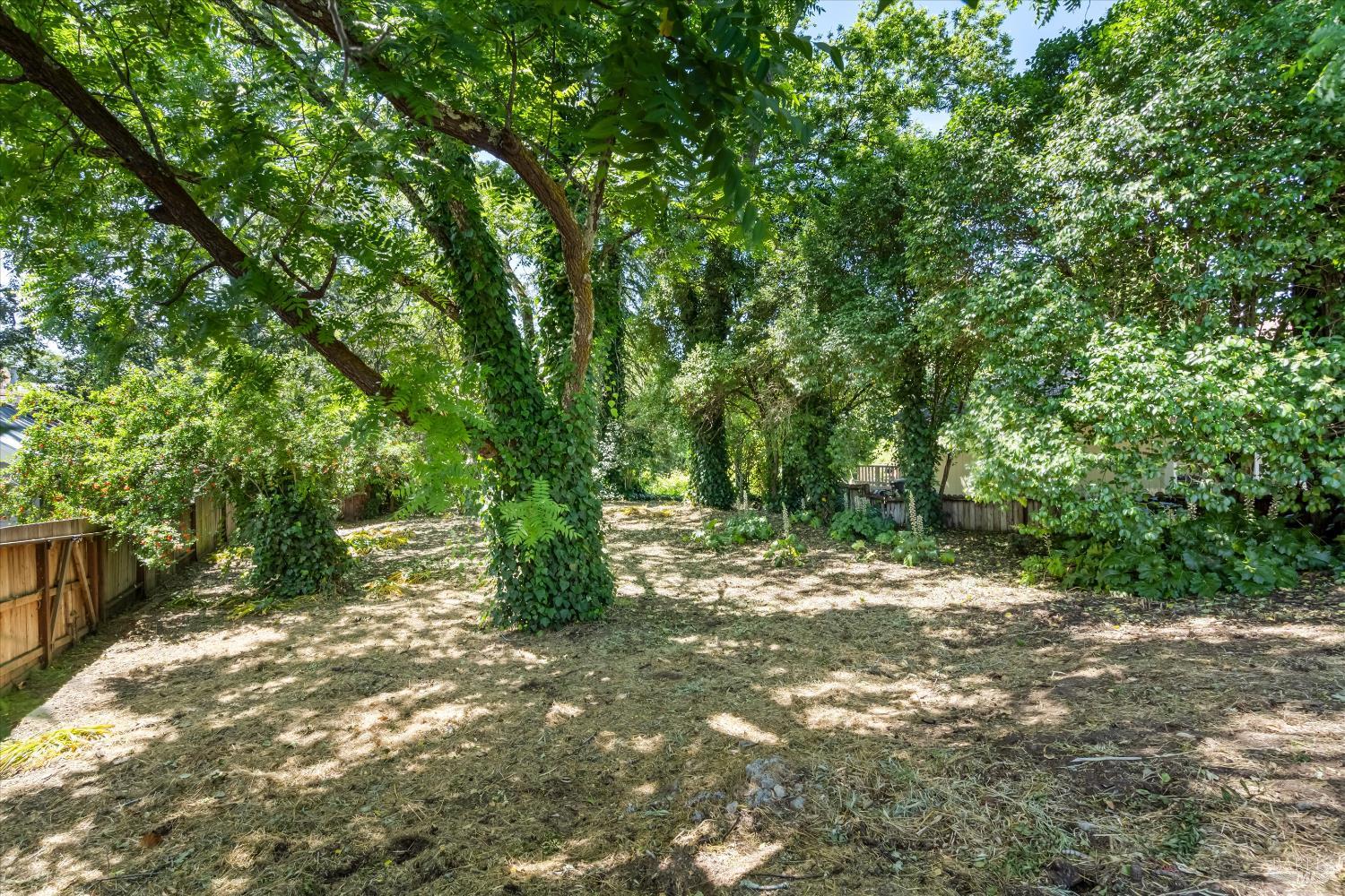 413 Fitch Street Healdsburg CA 95448