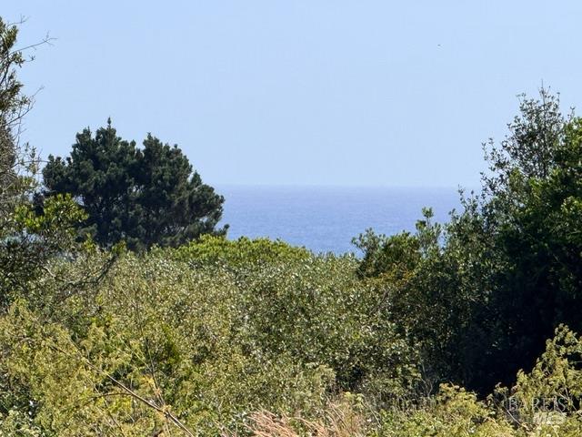 44961 Main Street Mendocino CA 95460
